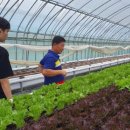 세종특별자치시농업기술센터 이미지