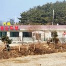 무의도 데침쌈밥 본점 이미지