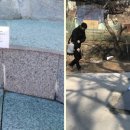 장안19 이미지