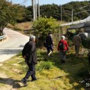 (주)자연농장 티스토리