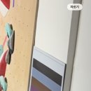닌자클라이밍