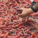 방시리민박 이미지