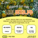 2024년 고흥 &#39;나의 유자나무&#39; 분양 이벤트 참여자 모집 이미지