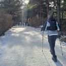 허브밸리(주차장 버스) 이미지