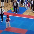 대도 세계로 태권도 이미지