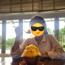 이성씨엔아이 노동조합 | 베트남 쪼랩의 푸꾸옥 3박5일 감상문 -1-