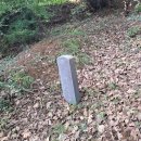 율곡천 1 이미지