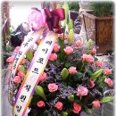 (주)메디파크 이미지