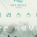 블리스아웃 이미지
