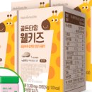 골든타임발란스 이미지