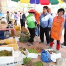 함양토종약초시장 이미지