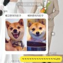 한우농장식육식당 이미지