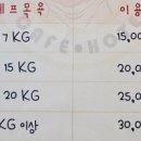 독특하개 이미지