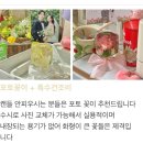 꼼므뚜아 이미지