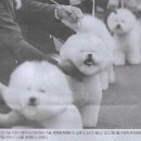 사업자나라 이미지