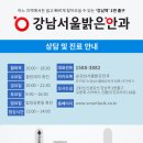 강남브랜드안과의원 네이버블로그