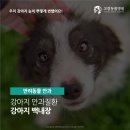 고강동물병원 이미지