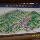 청리초교 Daum카페
