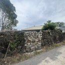 서쪽에서(귤이네) 이미지