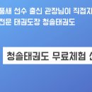 청솔태권도장 이미지