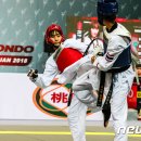 태백강원태권도체육관 이미지