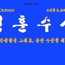 씨지 컴퍼니 이미지