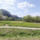 생태와대구 이미지