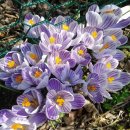 구암동112 이미지