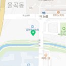 국가대표 대한혁신 태권도장 이미지