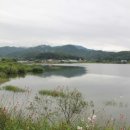 천안여자고등학교 이미지