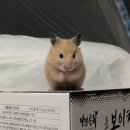 맑은샘 휘트니스 이미지