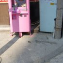 대전은어송초등학교 이미지
