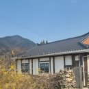 고불맹사성기념관 | 여유로운 감성이 좋은 화덕 피자 맛집 카페 아날로그