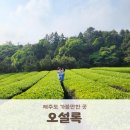 제주여행신호등 | [제주 가볼만한곳] 아이와 함께하는 제주 여행, 오설록 티뮤지엄 방문 후기 (주차, 메뉴, 녹차밭 포토존)