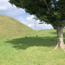 2022 내일로 여행 - 경주편