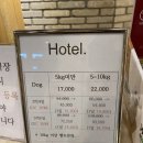 진영동물병원 이미지