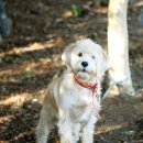 타이스토리 이미지