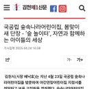 국공립 자연아이어린이집 이미지