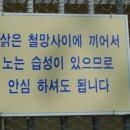 사이에 이미지