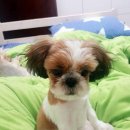 비몽사몽 이미지