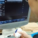 연세문상영의원 이미지