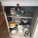 돈두구이 | &lt; 내돈 내산 &gt;로보락 직배수장 직공전기 고집 코리아 설치 후기