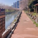 해수천1호 이미지