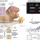 신호개발 이미지