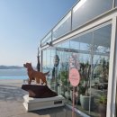 비고리조트 15 이미지