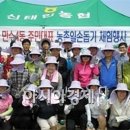 김영옥농장 이미지