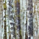 마산탑치과의원 이미지