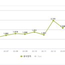 데일리 호스 브라운 네이버블로그
