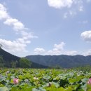 연꽃단지 화장실 이미지