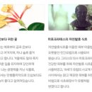 퍼스트에너지 이미지